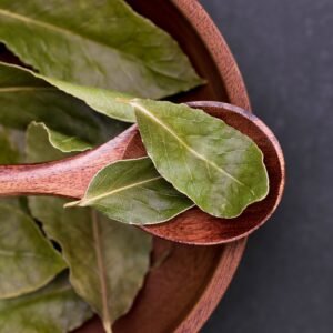 A detailed close-up of fresh bay leaves resting on a wooden spoon, emphasizing natural textures.