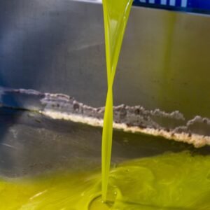 Fresh olive oil flowing from spout in a Puglia olive oil mill, showcasing traditional production.