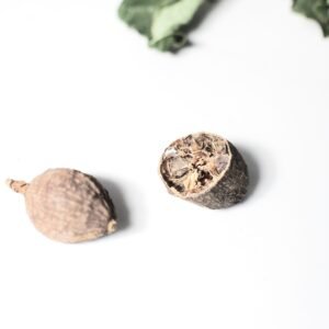 From above of cracked nutmeg near dried green leaves placed on white background